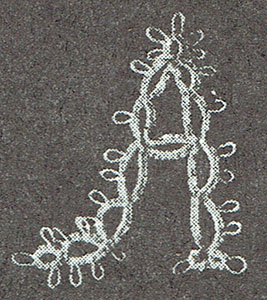 no scan available